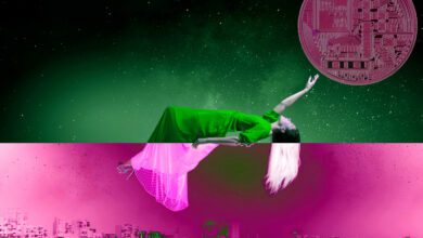 Top Krypto HandelsunternehmenAlamedaResearchWettenaufMarkterholung–hieristderGrund