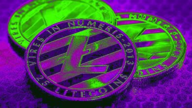 US RegierungsauktionenvonLitecoinundBitcoinCash,dievonSteuerhinterziehernbeschlagnahmtwurden