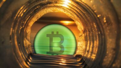 Vier Kryptos, die neben Bitcoin (BTC) in Betracht gezogen werden sollten – eToro