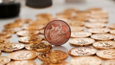 Vitalik kontert Elon Musk; bekräftigt die unmögliche Skalierbarkeit von DOGE
