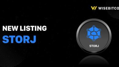 Wisebitcoin eröffnet aggregierten Handel für STORJ gegen USDT