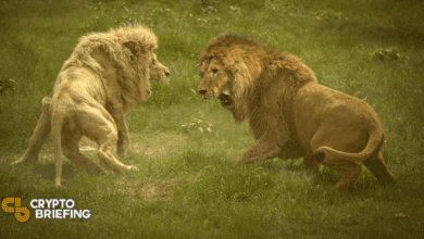 Yearn Finance, Alchemix, Curve Finance in DeFi Clash