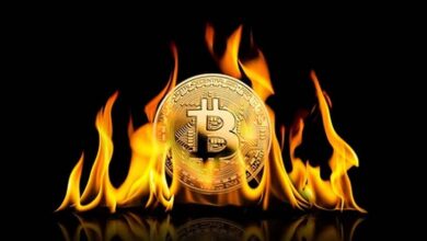 „Krypto ist gefälscht und eine miese Investition“