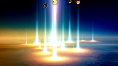 AxieInfinity(AXS),Dogecoin(DOGE),ShibaInu(SHIB)undBitcoin(BTC)imFokus–CoinGeckoQReport