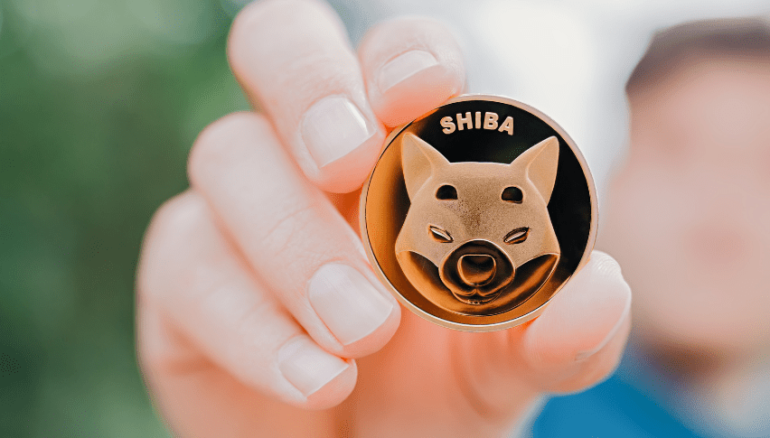 Der wichtigste Überlebenstest für Shiba Inu (SHIB/USD) kommt, da er weiter rutscht