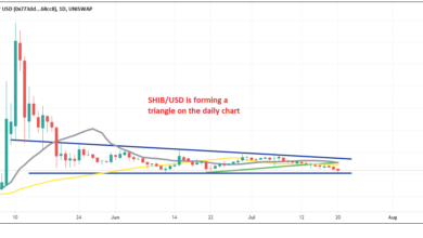 Unermüdlicher Verkauf für Shiba Inu (SHIB/USD), aber ein letztes Niveau hält