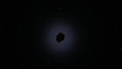 Valuart startet Auktion von NFT aus Banksys „Spike“