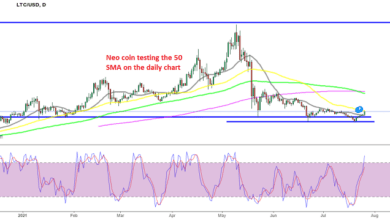 Warten Sie auf einen weiteren Pullback bei Neo Coin, bevor Sie langfristig kaufen, da alle Charts nach oben zeigen?