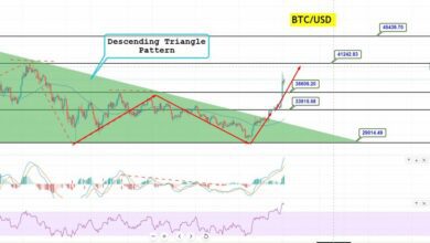 Bitcoin Price Forecast
