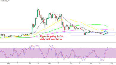 RippleXRPscheitertbeimerstenbullischenVersuchbeimSMA,ShibaInuzeigtkeineLebenszeichen