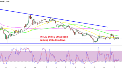 DeprimierendeChartsfürShibaInu Käufer,währenddiemeistenKryptosweiterhinGewinnemachen