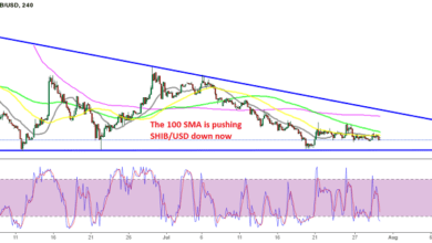 Shiba Inu Preisprognose – MAs halten SHIB/USD weiterhin bärisch, während der Großteil des Kryptomarktes bullisch geworden ist