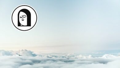 APENFThatNFTsimWertvon,MillionenUS Dollarverbrannt