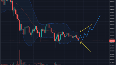 AnzeichenfüreineAnhäufungvonWalen,aberwohingehtBitcoinmöglicherweise,wenn.US Dollarbrechen?(BTC Preisanalyse)