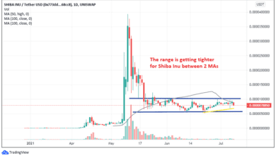 Aufbau von Shiba Coin Longs während der Konsolidierung, vor dem Ausbruch