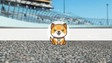 Baby Doge Coin erscheint in der NASCAR Xfinity Series