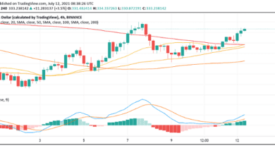 Binance Coin (BNB) stärkt sich, da der CEO von Binance „FUD“ herunterspielt