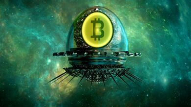 Bitcoin Boomauf.US DollarwahrscheinlichinmitteneinerFlutwellederAdoption,prognostiziertDanMorehead–Hierist,wann