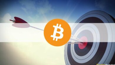 Bitcoin PreisaufMillionenUS Dollar?SF ModellerstellererklärtseinelangfristigeVorhersage