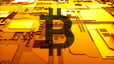 Bitcoin Walbewegungensignalisieren,dassderTiefpunktdesKryptomarkteserreichtist,sagtOn ChainAnalystWillyWoo