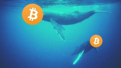 BitcoinWhalesfügten.BTCaneinemTaghinzu:AbJulihistorischprofitabel