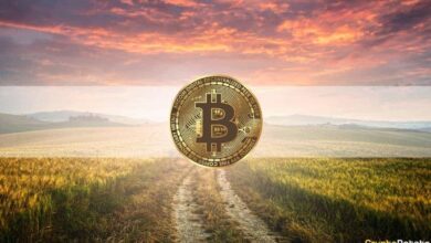 Bitcoinistunterbewertet,BullRunhatnochnichtübertroffen