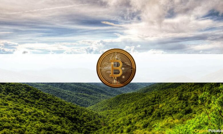 Bitcoin hat 49.000 USD angezapft, während Kryptomärkte 100 Milliarden USD zurückgewinnen (Wochenendbeobachtung), Krypto News Aktuell