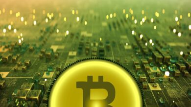 BitcoinundKrypto AssetslösendiegrößteUmverteilungdesReichtumsinderGeschichteaus:MacroGuruRaoulPal