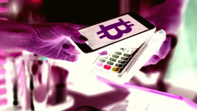 Bitcoin wird und sollte keine Währung in den USA sein, sagt Michael Saylor