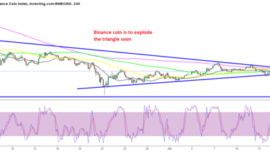 Bullische Zeichen bei Binance Coin BNB – Höhere Tiefs machen, wenn die meisten Kryptos die Rutsche nicht aufhalten können