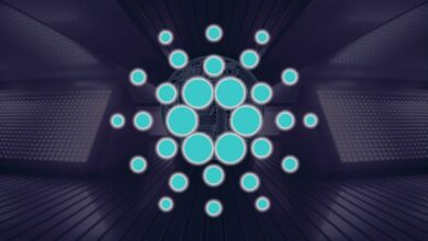 CharlesHoskinsonantwortetaufCardano Kritiker,diedieTraktionderPlattforminFragestellen