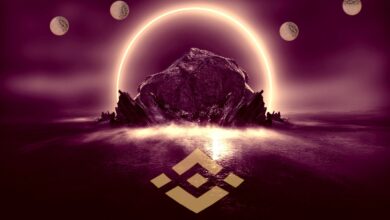 Crypto Exchange Binance beendet den Support für MicroStrategy, Tesla, Coinbase, Apple und Microsoft Stock Tokens