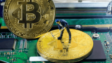 DieEinnahmenderBitcoin undEthereum Minersinken