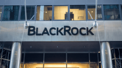 Die Kunden von BlackRock betrachten Krypto nicht als langfristig