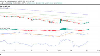 Dogecoin (DOGE) genießt eine Spitze als Musk ändert Twitter Profilbild