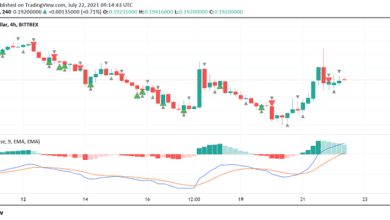 Dogecoin Surges – Musk, Coinbase Commerce Ankündigungsunterstützung