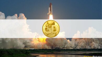 Dogecoinsteigtum%,alsElonMuskDogeEyesaufTwittersetzt