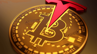 Elon Musk besitzt BTC, ETH und DOGE