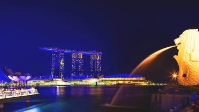 Fast die Hälfte der Singapurer besitzt Kryptowährungen: Unabhängige Reserveumfrage