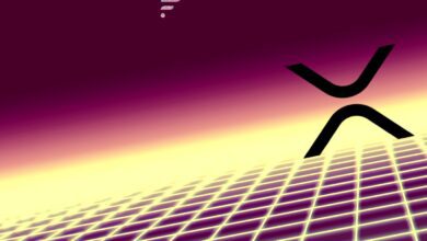 FlareenthülltPlan,...Spark TokenanXRP InhaberinmassivemAirdropzusenden