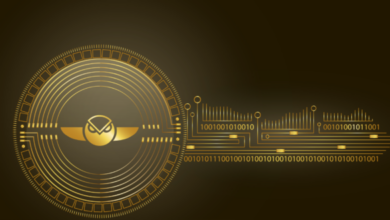 Gnosis Safe startet auf Polygon, BSC, Arbitrum