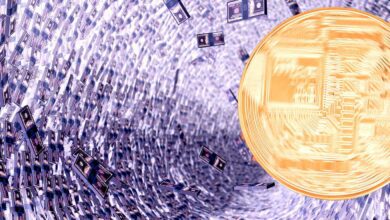 HiersinddiefünfwichtigstenAltcoins,dieSiebasierendaufVC Unterstützungsehensollten,lautCoinBureau