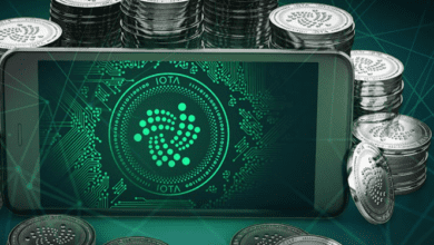 IOTA erholt sich nach hartem Dienstag