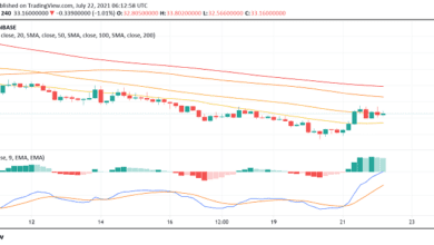 Internet Computer Protocol (ICP) gewinnt stark, da sich die Stimmung auf dem Kryptomarkt verbessert