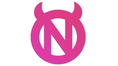 Investoren nutzen den Token NAFTY für Erwachsene in der Vorverkaufsfinanzierung