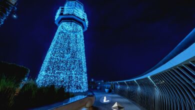 Krypto AnalystMichaëlvandePoppeskizziertbullischenWegfürEthereum,LitecoinundzweiweitereAltcoins