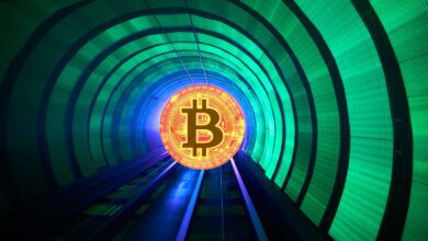 Kryptofirmen arbeiten zusammen, um steuerfreies Bitcoin zu schaffen Mining IRAs