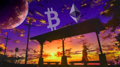 KryptowaleerhöhenBitcoin BeständeundfügenseitMai...$inBTCzuPortfolioshinzu:Santiment