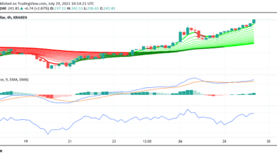 Monero (XMR) steigt trotz Entdeckung des neuesten Fehlers weiter an