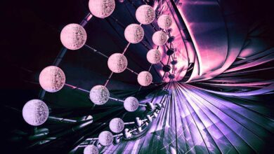 Nachdem prozentigenAnstiegvonAxieInfinityuntersuchtKrypto AnalystMichaëlvandePoppe,wasalsnächstesfürdenexplosivenAltcoinkommt